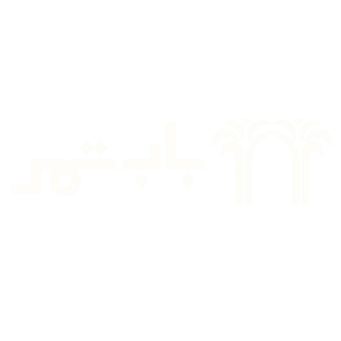 99ways agence tiktok ads, tiktok shop